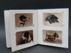 Approximately 120 early 20thC postcards in an album, almost all dog related.