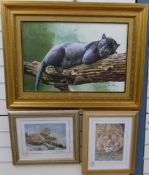 Stephen Gayford signed limited edition (10/35) print 'Just Snoozing',