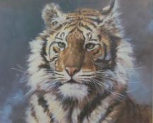 Silvia Duran print of a tiger 'Tara',