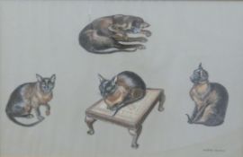 Jean Parry Williams (1918 - 2010) pastel study of Burmese cats, signed lower right,