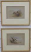 James Stinton (Royal Worcester artist) pair of watercolours of ducks tacking off and landing,