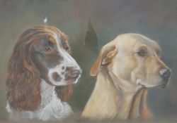 Andrew Quelch framed pastel of Springer Spaniel and Labrador dogs, monogrammed lower right,