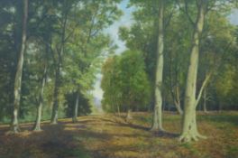 David Mead (1906 - 1986) oil on canvas 'Bury Hill Woods,
