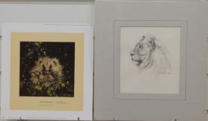 David Shephard signed limited edition print 162/1500 baby hedgehog and a pencil drawing of a lion