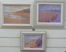 Andrew Quelch oil acrylic beach scenes 