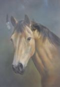 Andrew Quelch framed pastel of a horse monogrammed lower right, 35cm x 24cm.