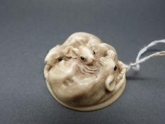 Japanese Meiji period carved ivory netsuke in the form of a nest of three rats with glass eyes,
