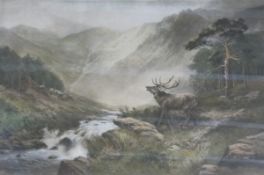 A pair of coloured prints 