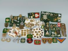 Military badges including Dorsetshire Regiment, Brecknochshire Regiment, Devonshire Regiment,