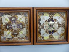 Two framed taxidermy studies of Himalayan butterflies and scarab beetles