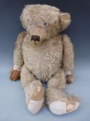 Attributed to Steiff Teddy bear with blonde mohair, shaved snout, growler, straw body,