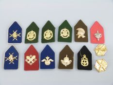 A collection of shoulder titles,