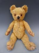 A vintage teddy bear c1920's with golden mohair, glass eyes, swivel joints,