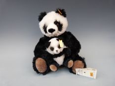 Two Steiff Teddy bears Panda Pair with black and white mohair,