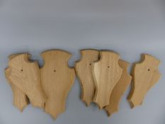 Seven matching carved oak taxidermy shield mounts, one large 37x21cm and six others 31x15.5cm.