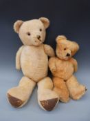 Two large vintage golden mohair teddy bears