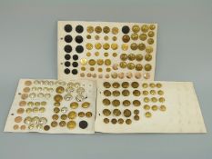 A collection of mainly military buttons including Coldstream Guards, Royal Berkshire,