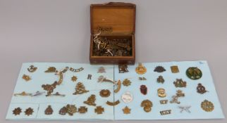 A quantity of brass and other military badges and insignia to include The Wiltshire Regiment,