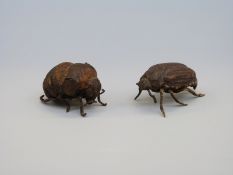 A bronze beetle and bumblebee, probably late 19th/20thC,