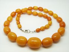 An amber necklace of 35 graduated ovoid egg yolk coloured beads, the largest approximately 27x22mm,