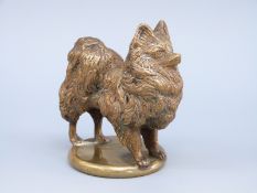 A bronze or brass Pomeranian dog figure on plinth,