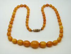 An amber necklace of 53 graduated ovoid egg yolk coloured beads, the largest approximately 14x11mm,