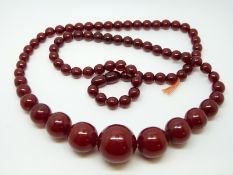 A cherry amber necklace of 79 graduated cylindrcal beads,
