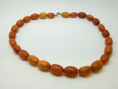 An amber necklace of 26 graduated ovoid egg yolk coloured beads, each approximately 17x12mm, 31g,