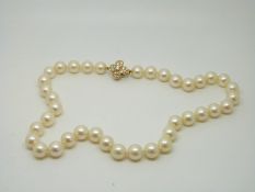 A single strand pearl necklace,