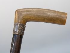A hallmarked silver-collared ebony cane with horn handle