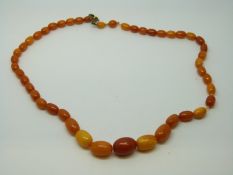 An amber necklace of 46 graduated ovoid egg yolk coloured beads, the largest approximately 13x9mm,