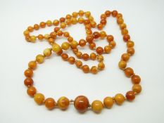 An amber necklace of 89 graduated cylindrical egg yolk coloured beads,