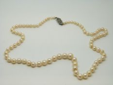 A single strand of pearls with marcasite clasp