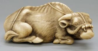 A signed Japanese Meiji period carved ivory netsuke of a recumbent oxen with harness,