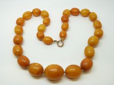 An amber necklace of 27 graduated ovoid egg yolk coloured beads, the largest approximately 24x19mm,