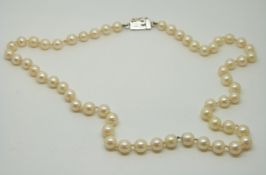 A single strand of pearls with 18ct white gold clasp
