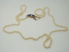 A Victorian graduated pearl necklace with blue guilloché enamel clasp set with a rose cut diamond