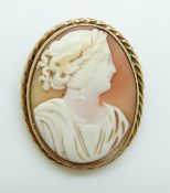 A 9ct gold brooch set with a shell cameo depicting a young woman, 4.