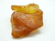 A section of copal amber