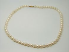 A single strand of cultured pearls with 9ct gold clasp