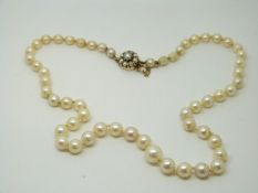A pearl necklace with 14ct gold clasp set with pearls,