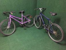 A Gemini Outrider mountain bike and one other