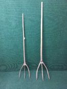 Two rustic hay forks