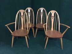 Four Ercol elm swan back dining chairs