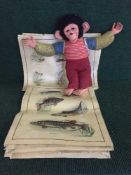 A box of 1950's laminated education posters,