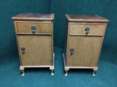 A pair of Queen Ann style bedside cabinets