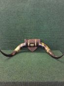 A pair of bull horns on shield plaque