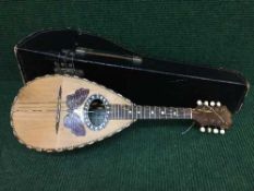 A Staridente bow backed mandolin in case