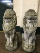 A pair of garden lion ornaments