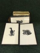 An Indian study of a man, painted on ivory panel,